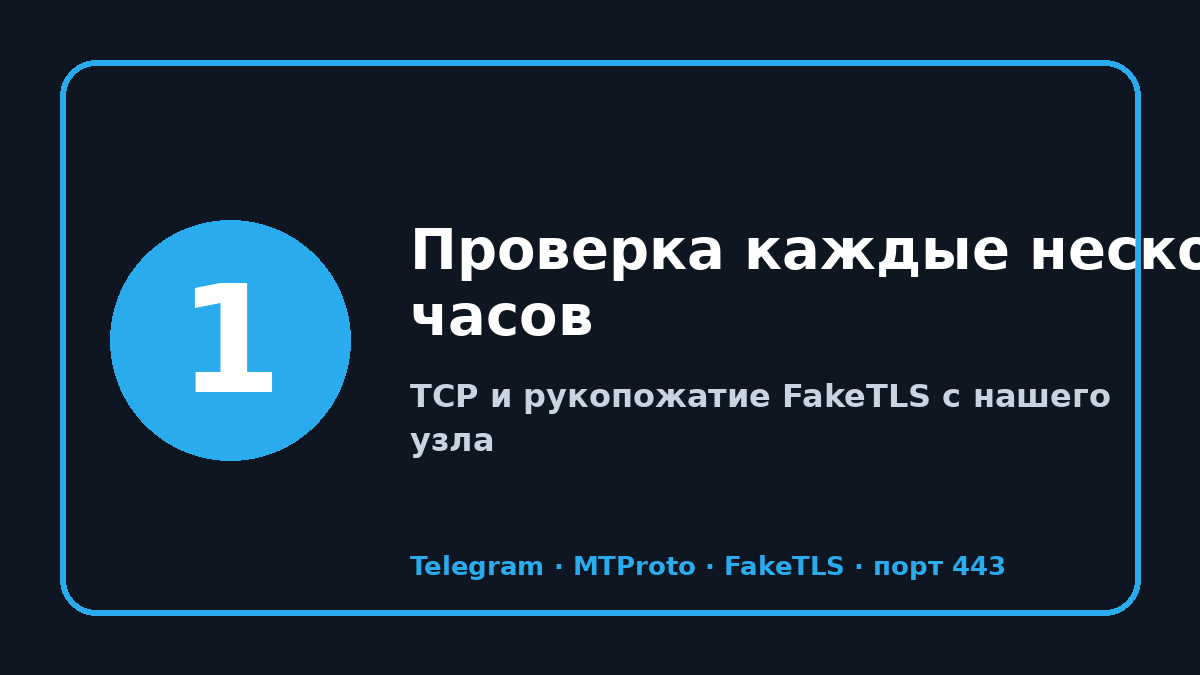 ТОП прокси телеграмм 2026: шаг 1 — Проверка каждые несколько часов